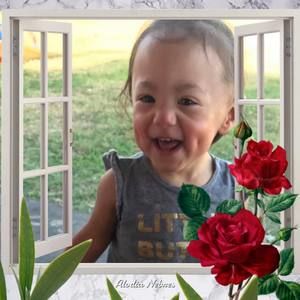 Meet your Posher, Sylvia